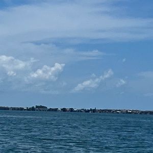 Meet your Posher, Damon